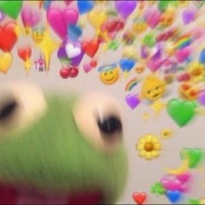 Meet your Posher, Shaelin